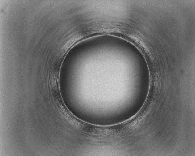 X0000087391273200704271613