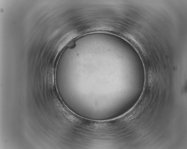 X0000087391274200704271613