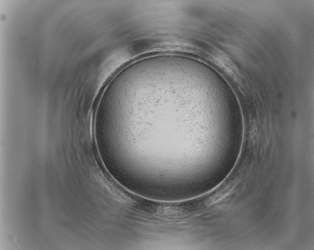 X0000087391275200704271613