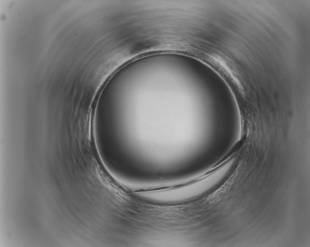 X0000087391276200704271613