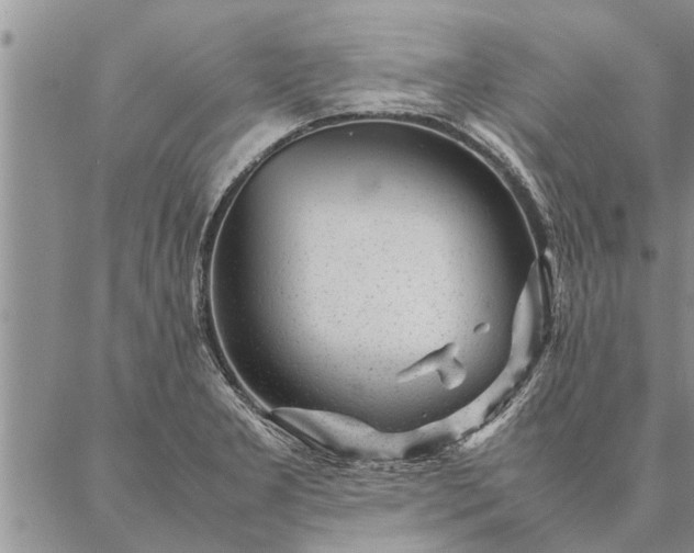 X0000087391277200704271613