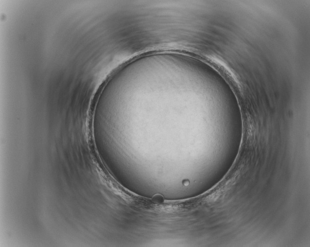 X0000087391278200704271613