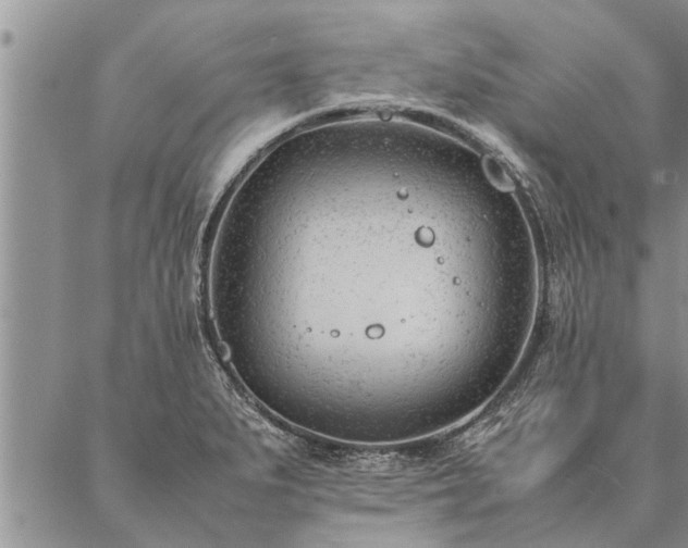 X0000087391279200704271613