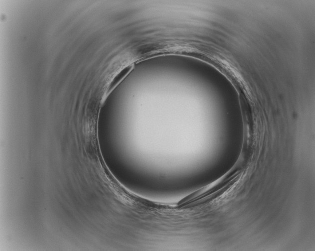 X0000087391281200704271613