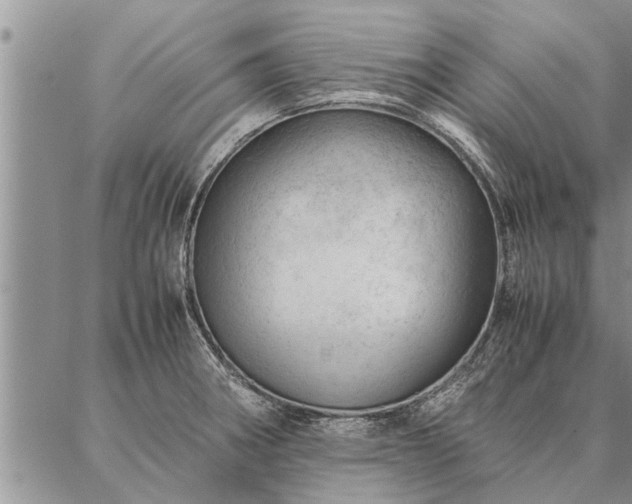 X0000087391282200704271613