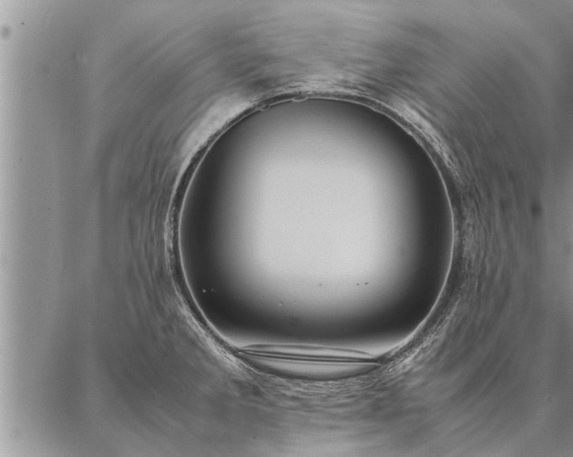 X0000087391285200704271613