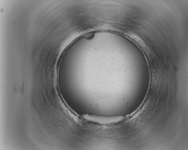 X0000087391286200704271613