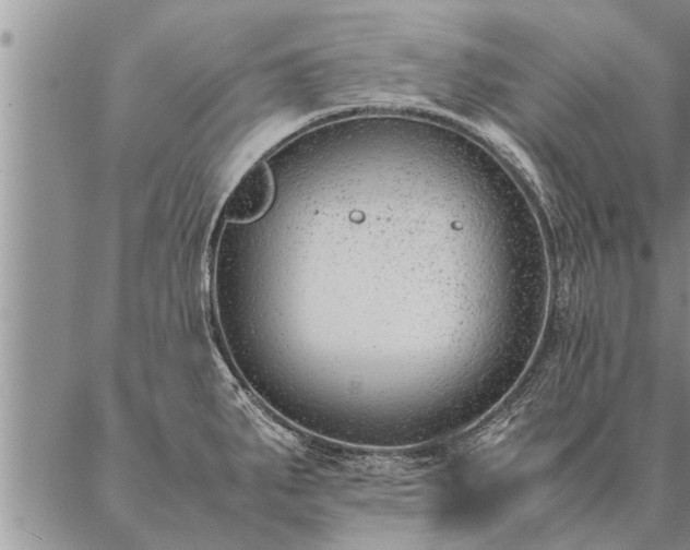 X0000087391287200704271613