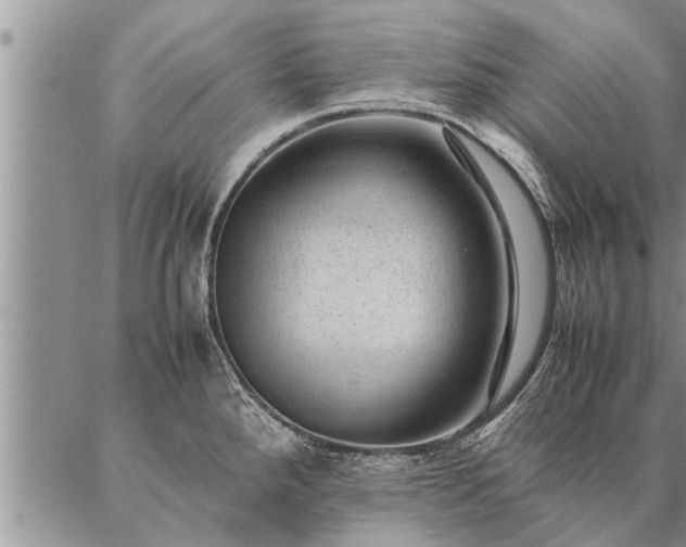 X0000087391288200704271613