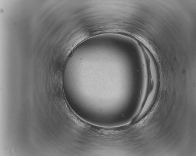 X0000087391289200704271613