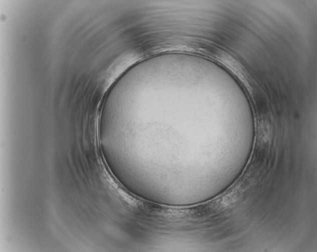 X0000087391290200704271613