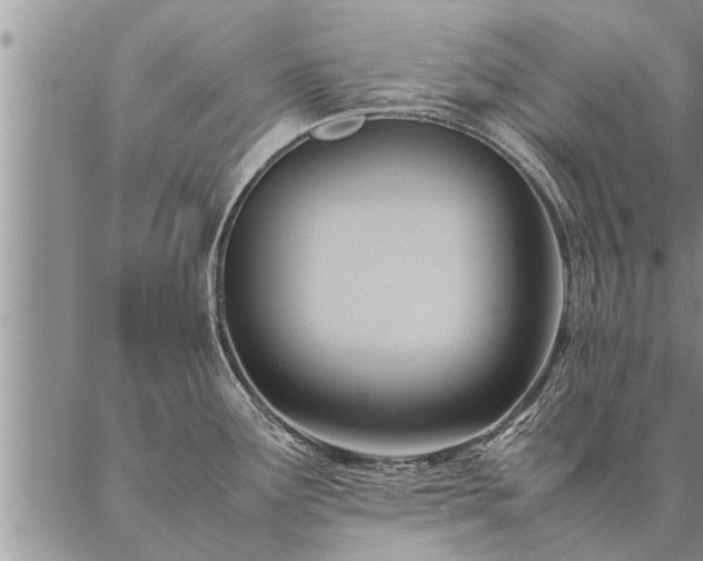 X0000087391291200704271613