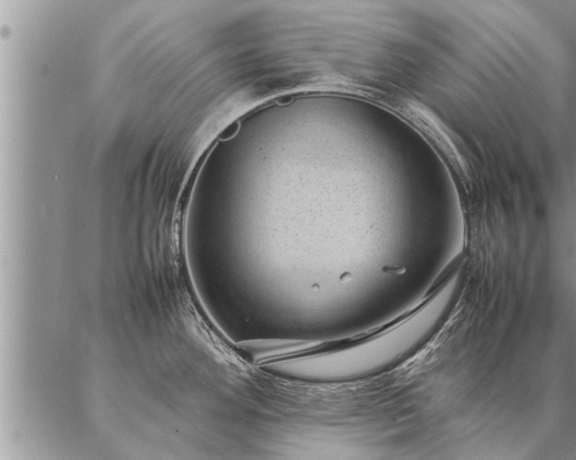 X0000087391292200704271613