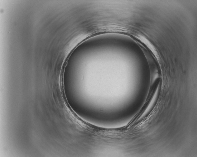 X0000087391293200704271613