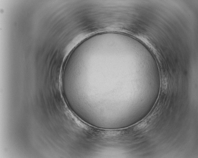 X0000087391294200704271613