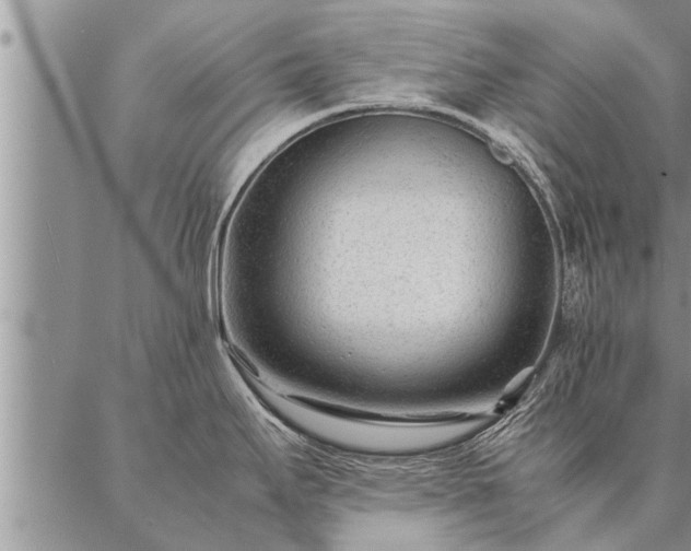 X0000087391295200704271613