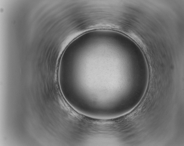 X0000087391296200704271613