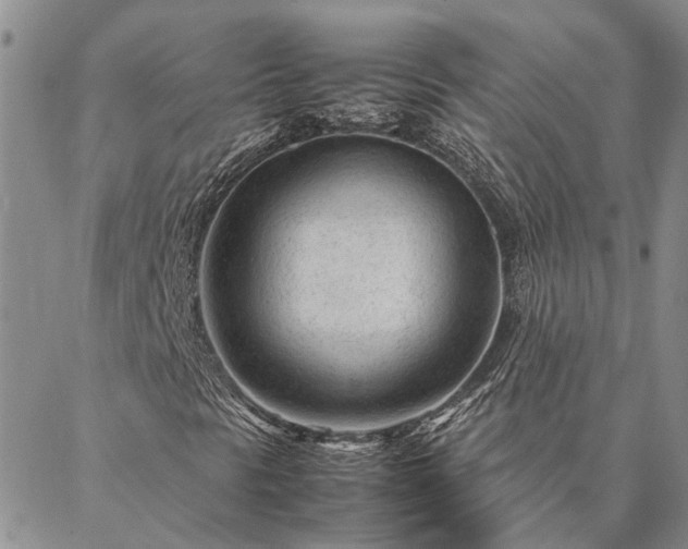 X0000087391297200704271612