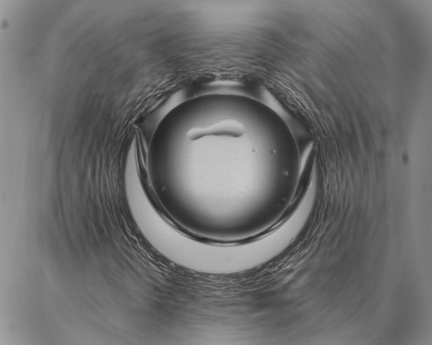 X0000087391298200704271612