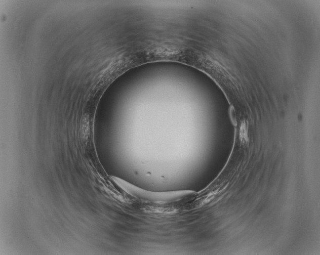 X0000087391299200704271612