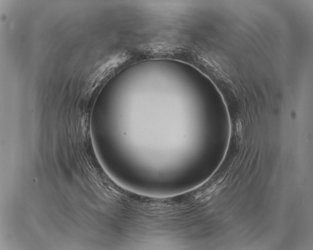 X0000087391300200704271612