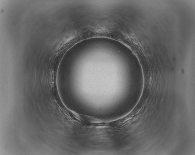 X0000087391301200704271612