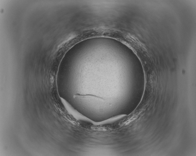 X0000087391302200704271612