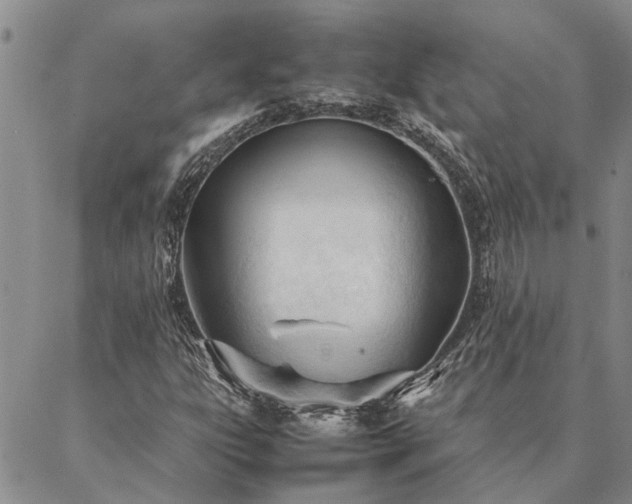 X0000087391303200704271612