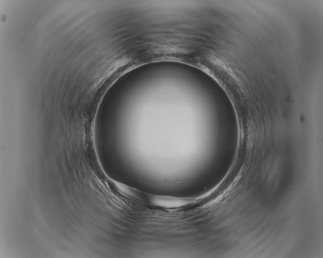 X0000087391305200704271612