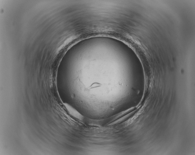 X0000087391306200704271612