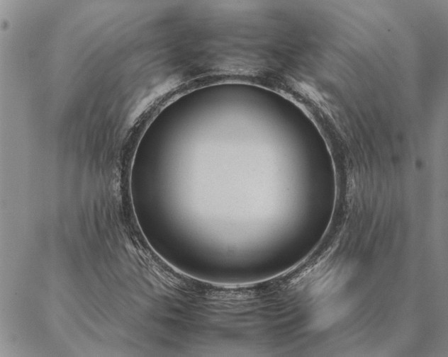 X0000087391307200704271612