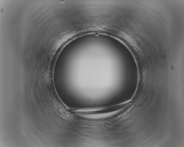 X0000087391308200704271612