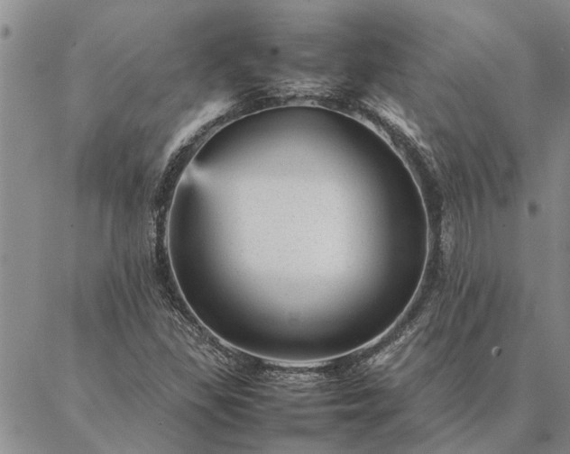 X0000087391309200704271612