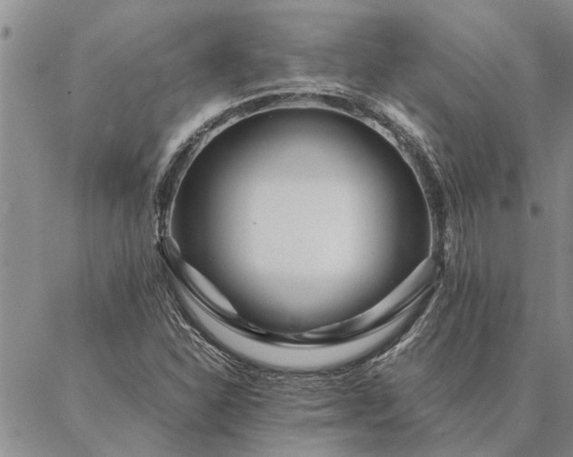 X0000087391310200704271612