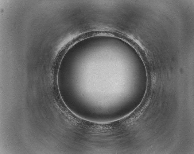 X0000087391311200704271612