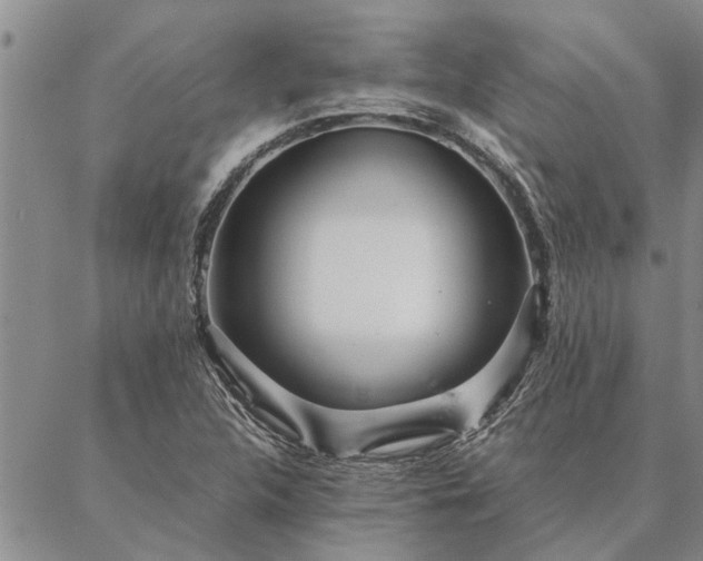 X0000087391312200704271612