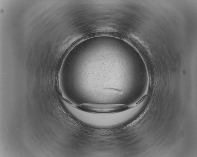 X0000087391313200704271612