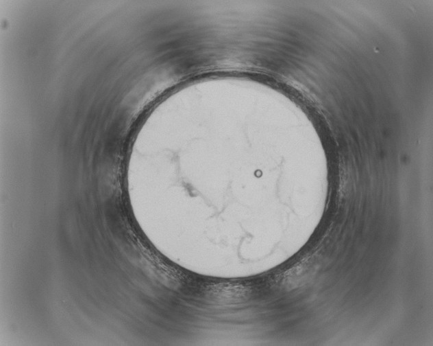 X0000087391314200704271612