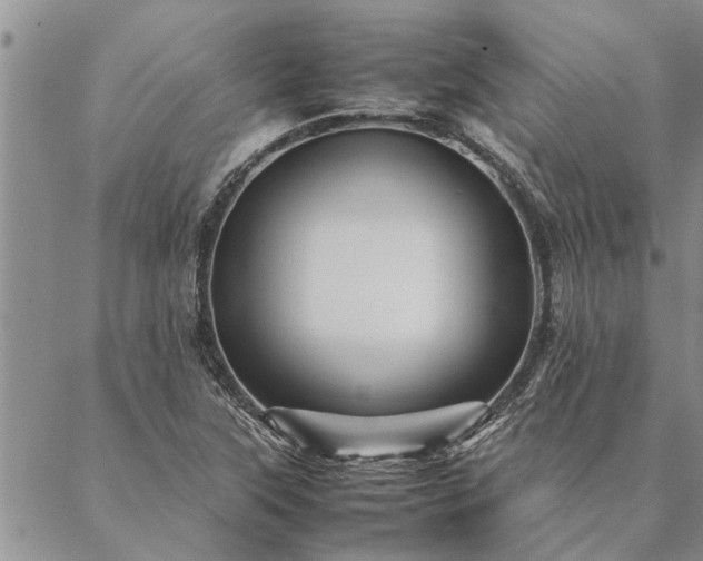 X0000087391315200704271612