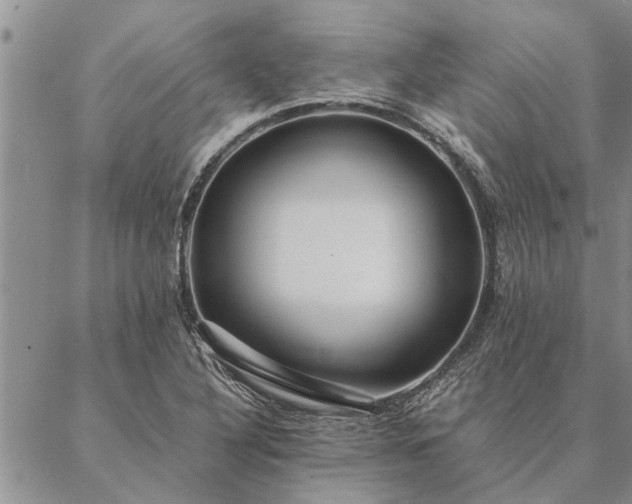 X0000087391316200704271612