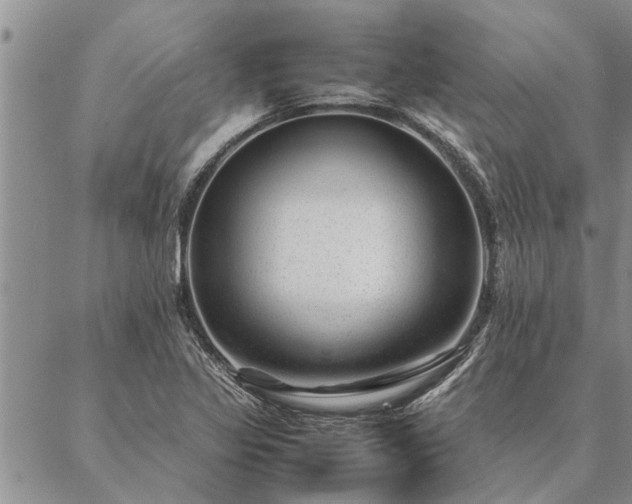 X0000087391317200704271612