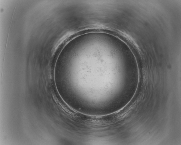 X0000087391318200704271612