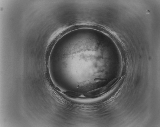 X0000087391319200704271612