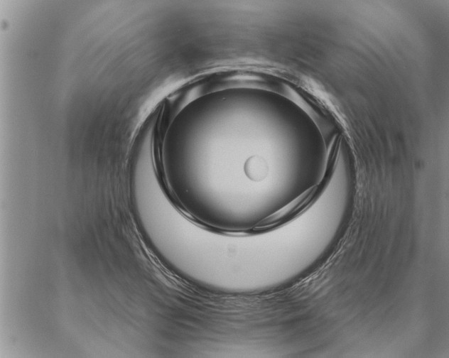 X0000087391320200704271612