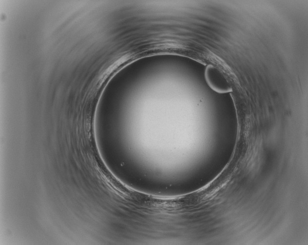 X0000087391321200704271612