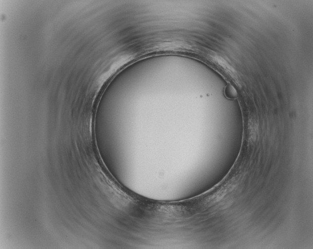 X0000087391322200704271612