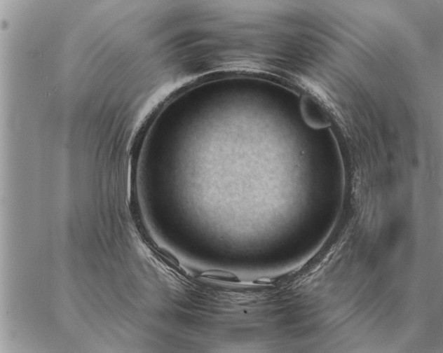 X0000087391323200704271612