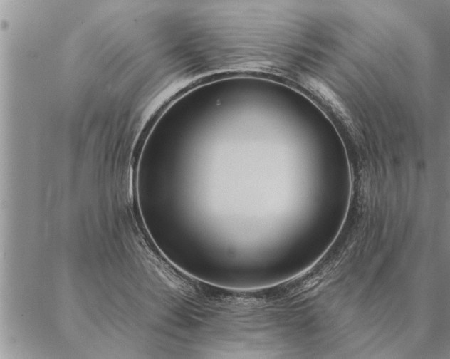 X0000087391324200704271612