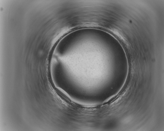 X0000087391325200704271612