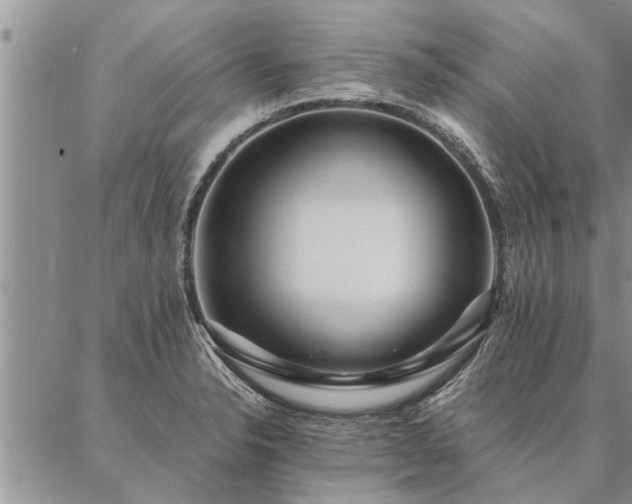 X0000087391326200704271612